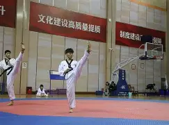 竞技宝电竞- 跆拳道巡回赛掀起高潮，泰山雷豹队大胜南城雄狮队，战至最后一刻——边路成突破口