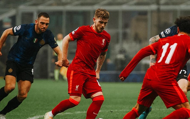 赛洛多辛与坦索罗辛的差别 赛洛多辛与坦索罗辛的差别